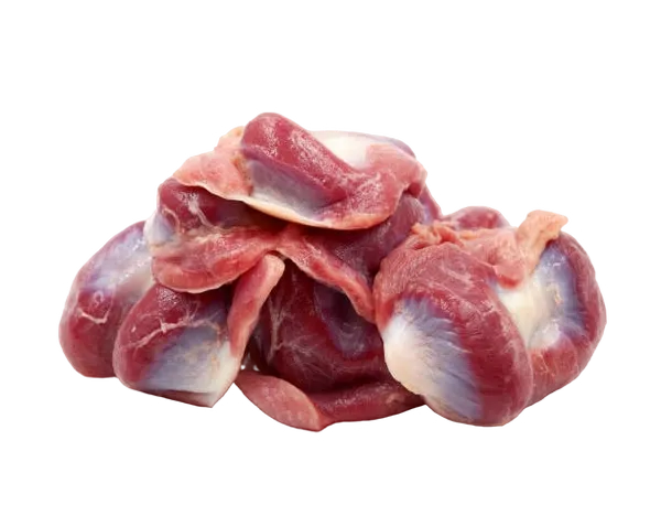 Gizzards